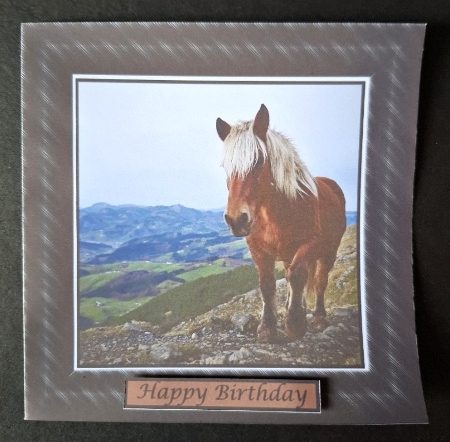 Mountain Horse Topper by Michelle Young
