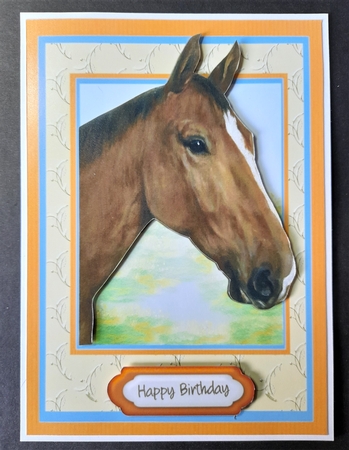 Lovely Horse Looking Out  by Michelle Young