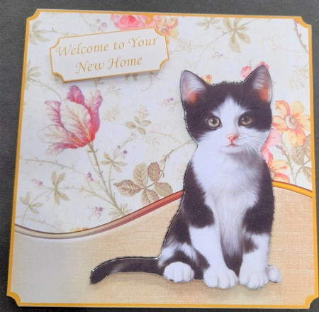 8 x 8 card front backgrounds cu4cu cu and pu ok  by Michelle Young