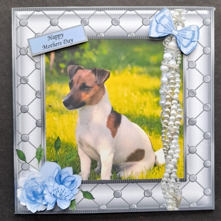 JACK RUSSELL MOTHERS DAY / BIRTHDAY 2 by Michelle Young