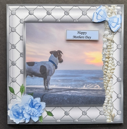 JACK RUSSELL MOTHERS DAY / BIRTHDAY 3 by Michelle Young