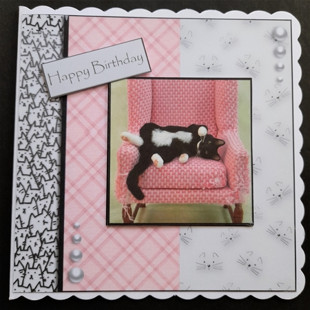 cats leave paw prints on your heart  by Michelle Young