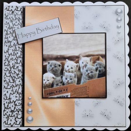cats leave paw prints on your heart  by Michelle Young