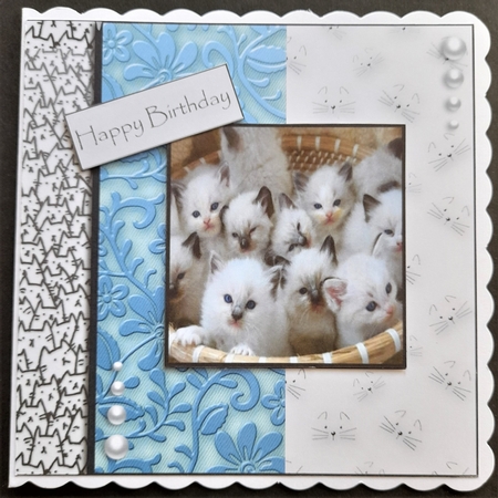 cats leave paw prints on your heart  by Michelle Young