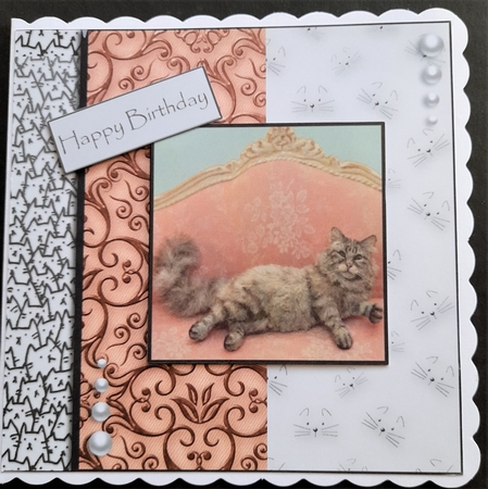 cats leave paw prints on your heart  by Michelle Young