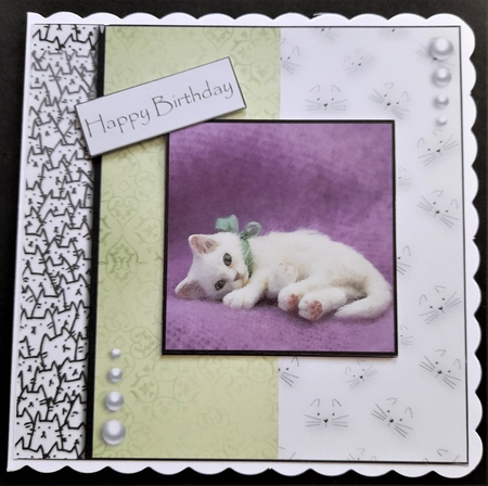 cats leave paw prints on your heart  by Michelle Young
