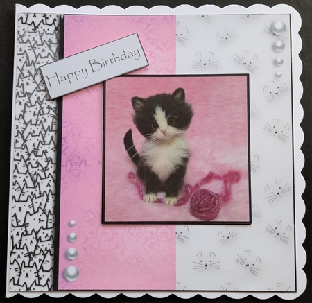cats leave paw prints on your heart  by Michelle Young