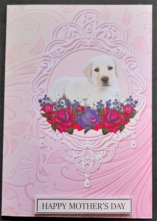 Mothers Day Quick Cards Set 3 by Michelle Young