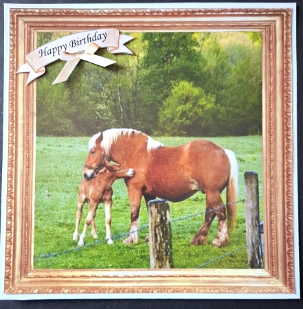 UNIVERSAL 8X8 HORSE & FOAL by Michelle Young