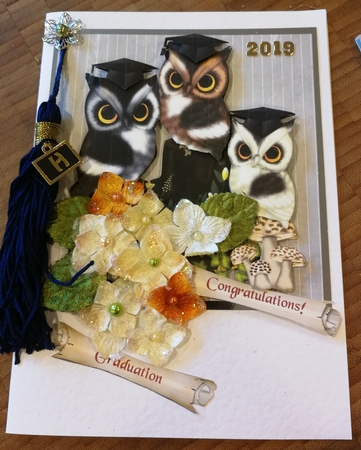 Triple Owl Graduation Congratulations Step by Step by Michelle Mann