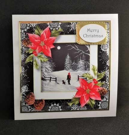 Monochrome Forest At Night 8x8 by Michelle Mann