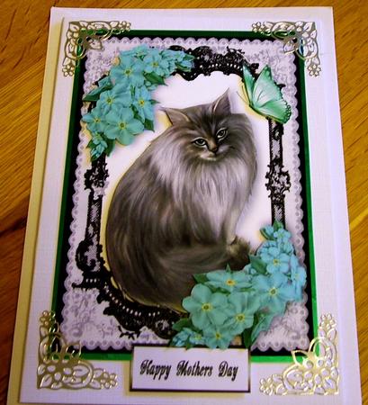 Persian Grey in Lace Frame with Turq Flowers by Michelle Mann