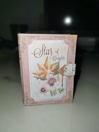 Star of Wonder - 3D Curiosity Book Box by Misu Qantu