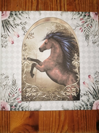 Majestic Wild Horse Gold Arch Toppers by Misu Qantu