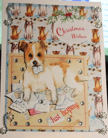 Doggy Christmas  1 Featured Gallery Photo