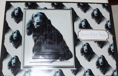 Cocker Spaniel Black Dog Background by Moira Paterson  (Ornella)
