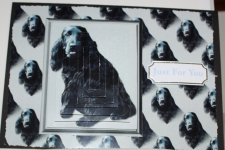 Cocker Spaniel Black Dog Pyramid by Moira Paterson  (Ornella)