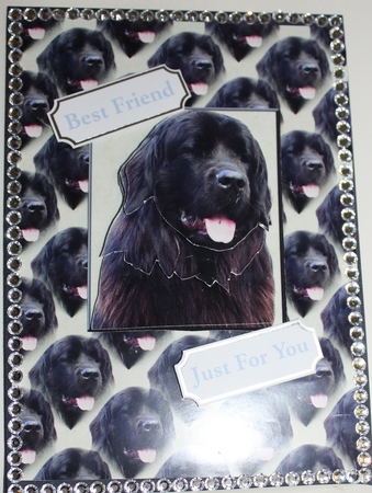 Black Newfoundland Dog Portrait 3D Decoupage with Background by Moira Paterson  (Ornella)