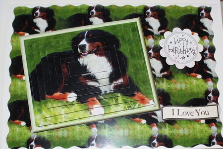 Bernese Mountain Dog Pyramid with Background by Moira Paterson  (Ornella)