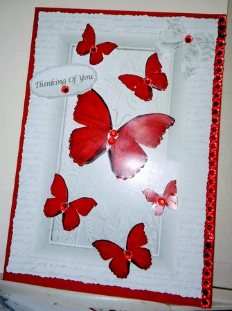 Beautiful Red Butterflies in Silver Frame by Moira Paterson  (Ornella)