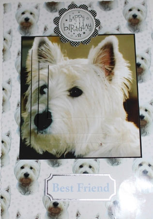 West Highland White Terrier 1 Portrait Background by Moira Paterson  (Ornella)
