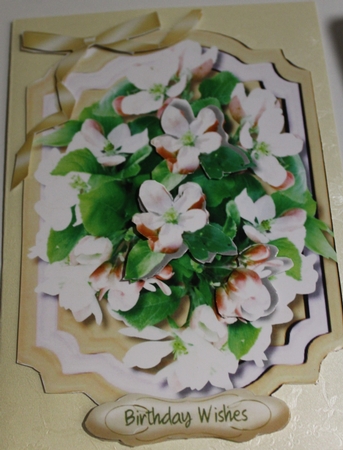 Lovely Blossom in a Cream Frame  by Moira Paterson  (Ornella)