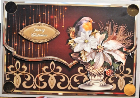 Christmas Robin and Poinsettia Fancy Edge Faux Envelope Card by Moira Paterson  (Ornella)