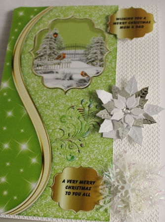Robins on a green glittery DL card front by Moira Paterson  (Ornella)