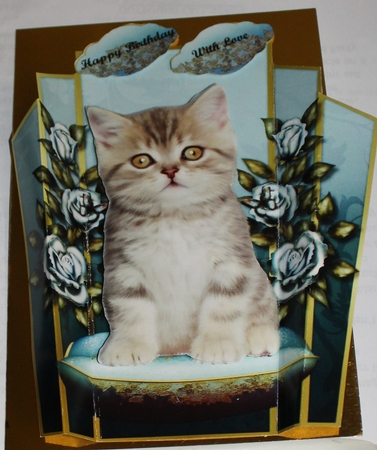 Art Deco Topper Cute Kitten & Vintage Roses by Moira Paterson  (Ornella)