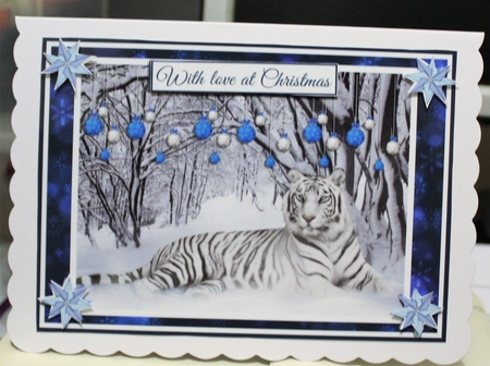 CHRISTMAS SNOW TIGER A5 by Moira Paterson  (Ornella)