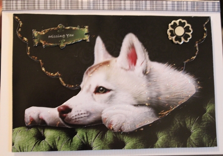 Loyal Husky Scalloped Faux Envelope Card by Moira Paterson  (Ornella)