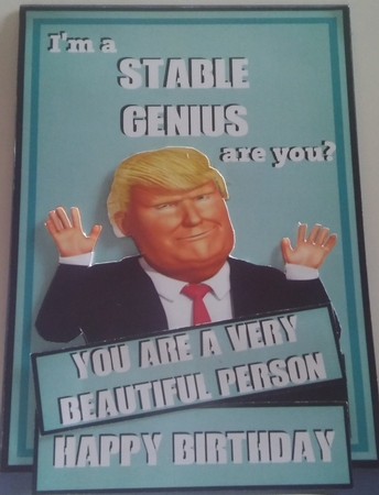 Im A Stable Genius! by Moira Paterson  (Ornella)