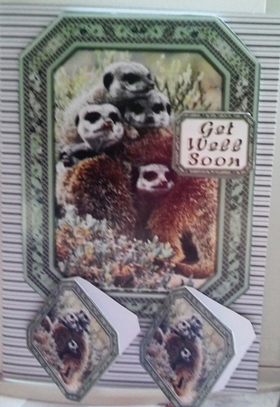  JJ GROUP HUG MEERKATS 5X7 by Moira Paterson  (Ornella)