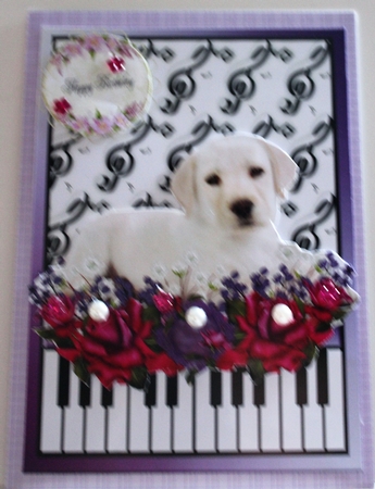 Dogs and Music No.1 A5 by Moira Paterson  (Ornella)