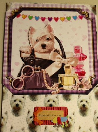 Happy Birthday Jen mini kit by Moira Paterson  (Ornella)