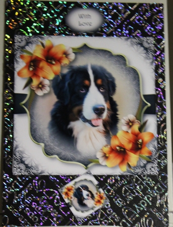 Gorgeous Burnese Mountain Dog & Lilies 8x8 by Moira Paterson  (Ornella)