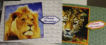 Two Big Cat Toppers by Moira Paterson  (Ornella)