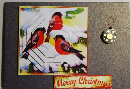 Lovely winter birds playing in the snow hexagon pyramids by Moira Paterson  (Ornella)