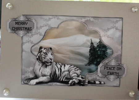 A Christmas Tiger - A5 card front with decoupage by Moira Paterson  (Ornella)