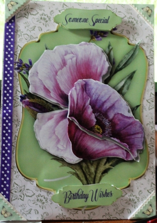 Beautiful Lilac  Poppy Topper by Moira Paterson  (Ornella)