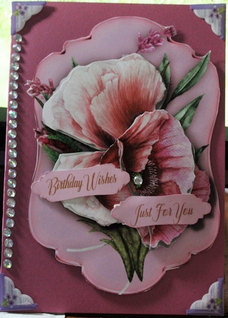 Beautiful Pink  Poppy Topper by Moira Paterson  (Ornella)