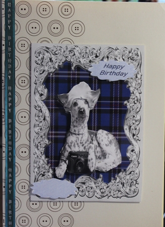 Dog Chinese Crested Birthday card by Moira Paterson  (Ornella)
