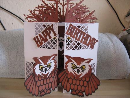 Tree Owl Door Card by Monika Hall