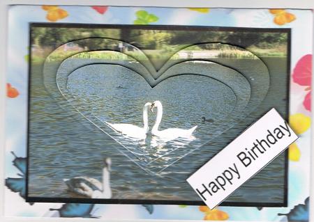Swans in Love Heart Pyramid Featured Gallery Photo