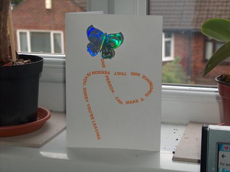 3D Flowers And Butterflies - Silhouette by Moragh Hunt