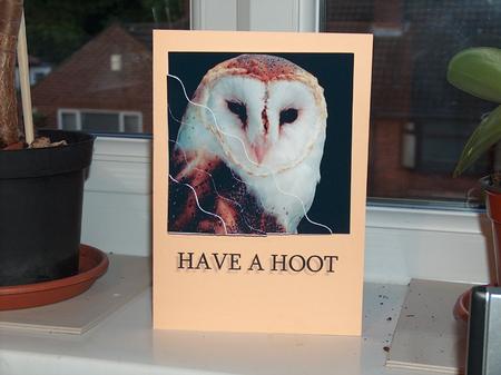 Barn Owl Square Wavy Corner Side Stacker by Moragh Hunt