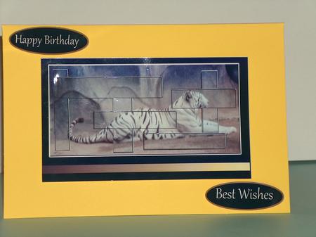 Wild Cat 2 Card Sheet Intertwined Pyramid by Moragh Hunt