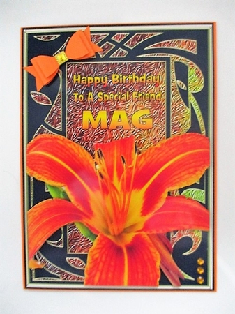 Feelings Orange Lily on Artistic Frame by isobel bulloch