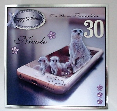 meerkat and babies by isobel bulloch