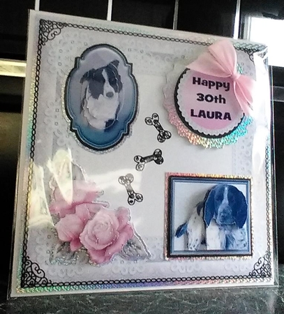 Cocker Spaniel Blue Roan 3D Decoupage with Background by isobel bulloch